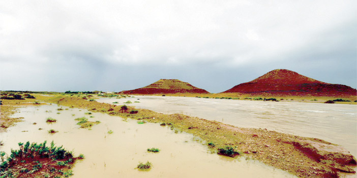 برق ورعود 