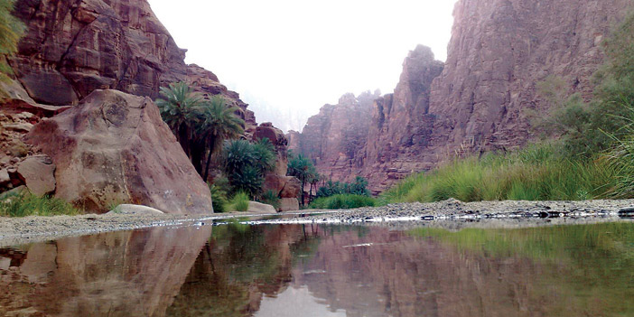   الطبيعة الجميلة في وادي داما