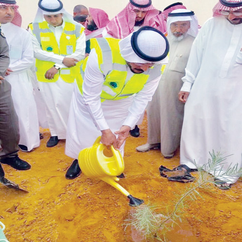  محافظ عيون الجواء يغرس أول شجرة