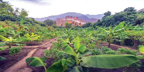 عدسة السياحة 