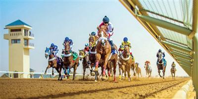 بطولة (عز الخيل).. سندها سلطان 