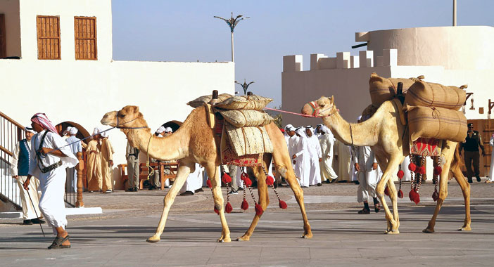 مسيرة قوافل الجمال ضمن مهرجان الساحل الشرقي في الشرقية  