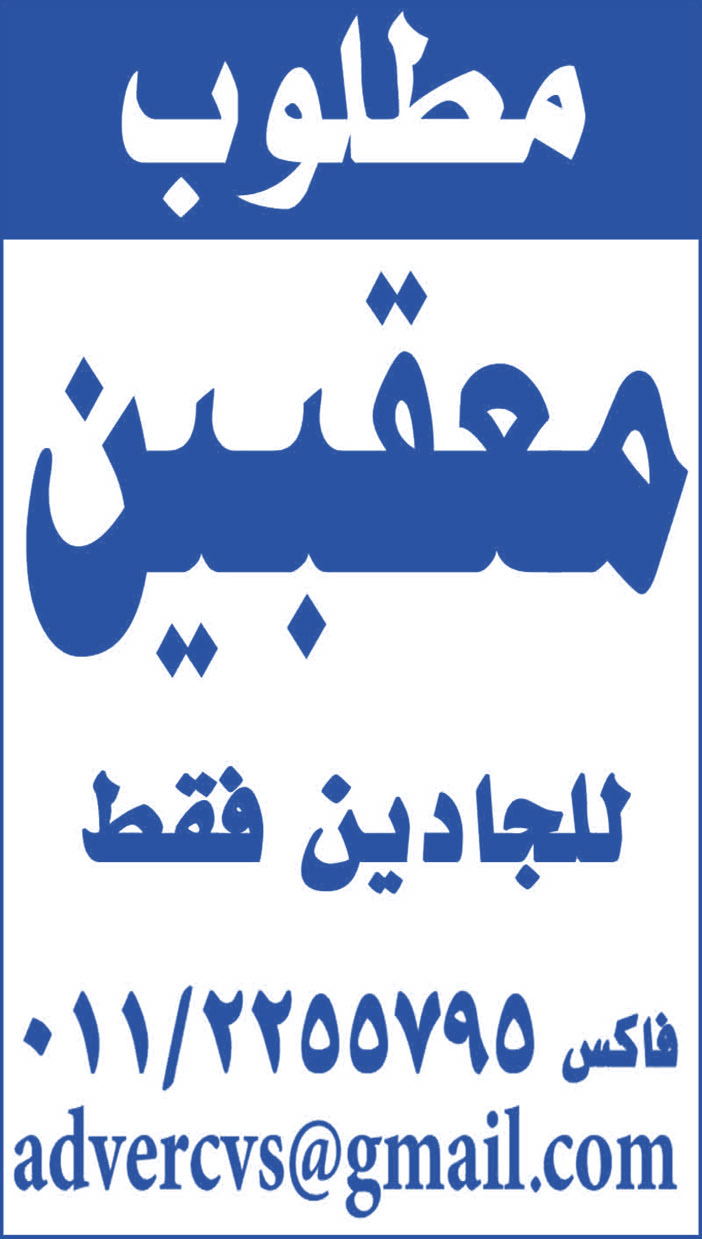 مطلوب معقبين 