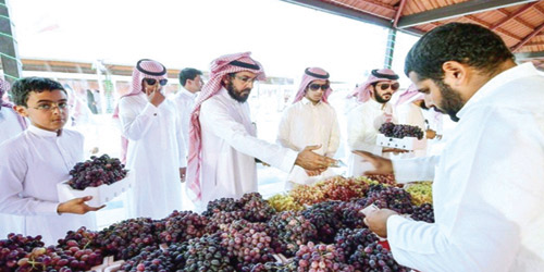  من مهرجان العنب العام الماضي