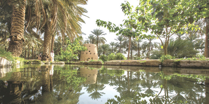  مشروع نزل تراثية زراعية بالقصيم- تصوير عبدالرحمن الوليدي