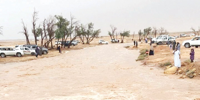  لقطات من جريان شعيب الطرفية الذي أسر عشاق البراري بمشاهدته