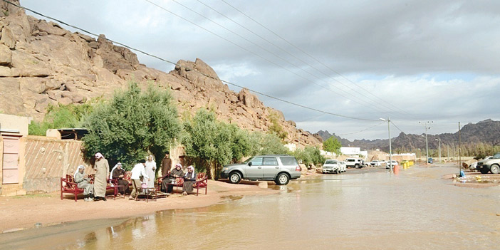 وسمو نائبه يتابع عن كثب أداء الجهات الأمنية والخدمية 