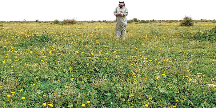  مشاهد من التنهات