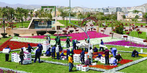 مدير سياحة الطائف يقف على فعاليات مهرجان الورد 