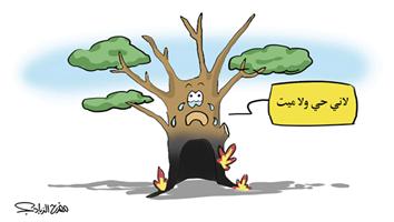 al-jazirah cartoon