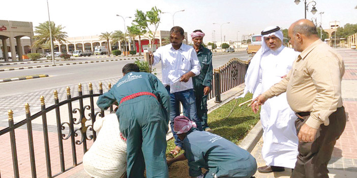  جانب من عملية التشجير