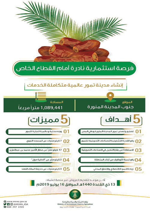 «البيئة»: إنشاء مدينة عالمية للتمور 