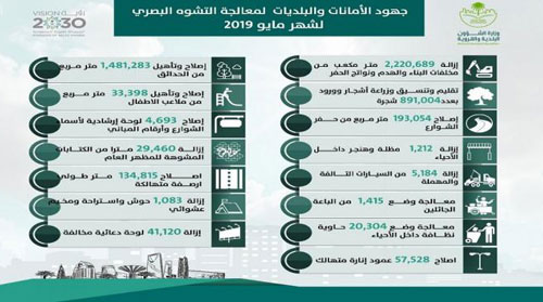 17 أمانة تعالج التشوّه البصري في المناطق 