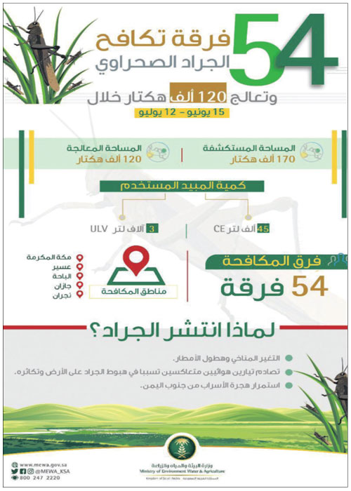 «البيئة» تواصل مكافحة الجراد الصحراوي وتعالج 120 ألف هكتار خلال الشهر الماضي 