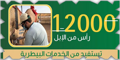 «البيئة»: خدمات بيطرية لـ(12) ألف رأس  من الإبل في مهرجان ولي العهد 