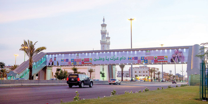  اللون الأخضر يعم منطقة نجران