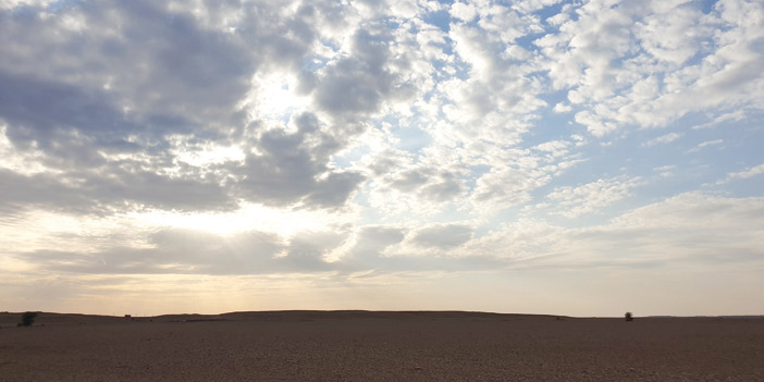  عدد من شعبان العاصمة