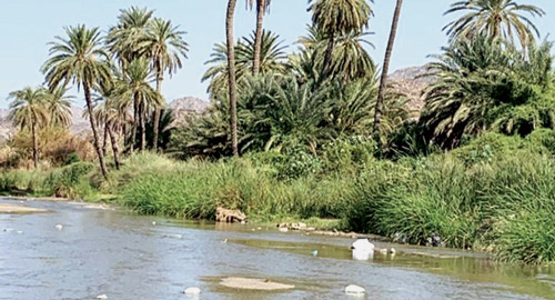  مناظر خلابة على ضفاف وادي قنونا