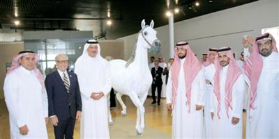 الدرعية تكشف تمثال الخيل (طرفه) أحد خيول الملك عبدالعزيز 