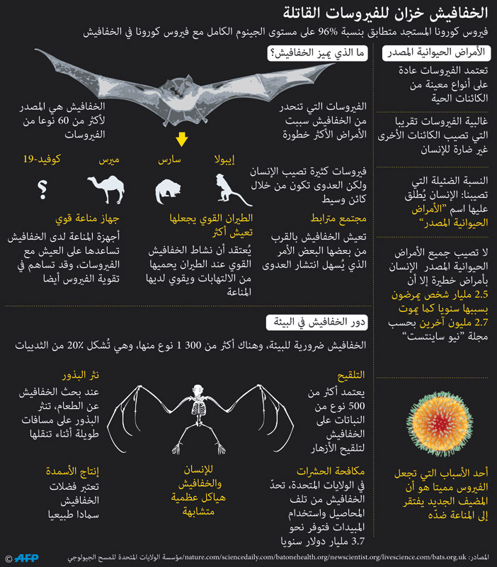 الخفافيش خزان للفيروسات القاتلة 