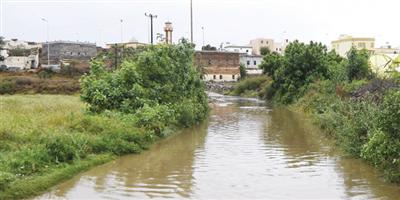 الأمطار والأجواء الضبابية تلف مناطق المملكة 