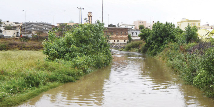  من أمطار منطقة عسير