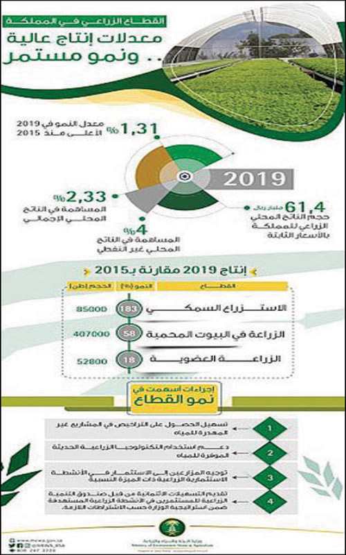 «البيئة»: نمو الناتج الزراعي للمملكة 1.31 % في 2019.. الأعلى منذ 2015 