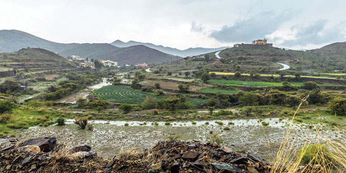 بلمعان البرق وزخات المطر.. الباحة أجمل 