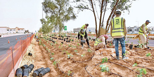 بدء أعمال أكبر مشروع تشجير لعاصمة عالمية 