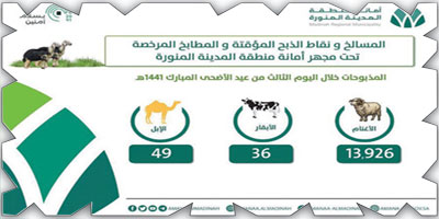 مسالخ المدينة المنورة تستقبل 14 ألف أضحية في ثالث أيام العيد 