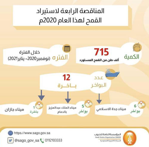 «الحبوب» تطرح مناقصة لاستيراد 715 ألف طن قمح 