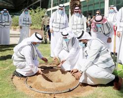 «البيئة» تطلق حملة «لنجعلها خضراء» في 165 موقعاً 