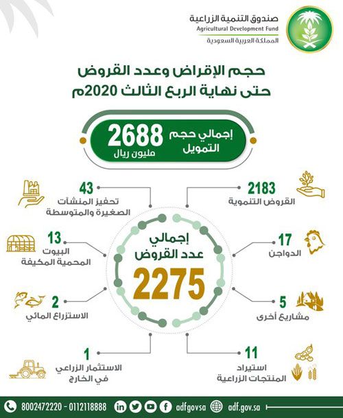 الصندوق الزراعي يعتمد 2275 قرضاً حتى نهاية الربع الثالث 