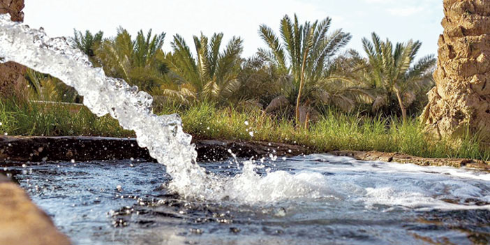 أرياف القصيم.. خضرة وماء وأجواء جذابة 