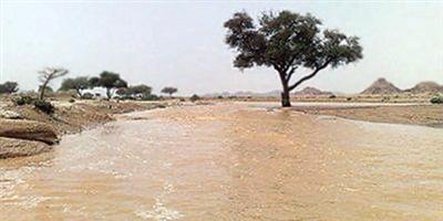 الصباح المطر 