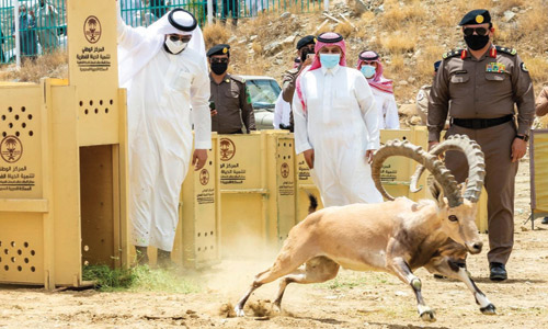  من عملية الإطلاق في بلجرشي