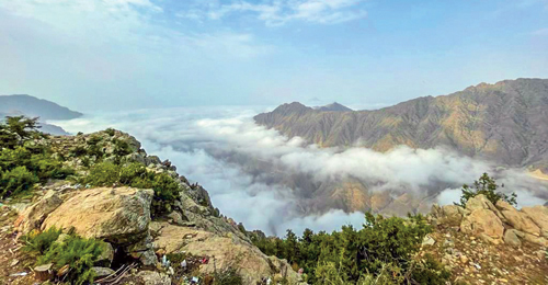 الباحة.. موطن الجمال 