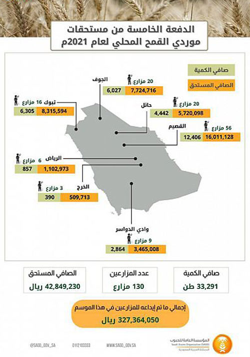 «الحبوب» تبدأ بصرف مستحقات الدفعة الخامسة لمزارعي القمح المحلي 