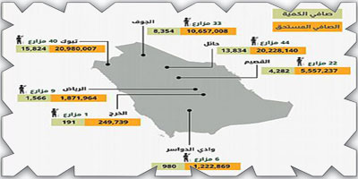 «الحبوب» تصرف مستحقات الدفعة التاسعة لمزارعي القمح المحلي 