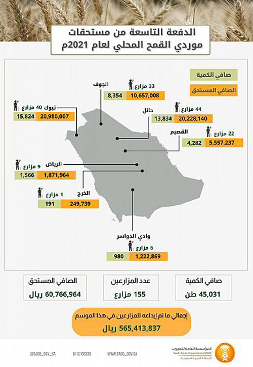 «الحبوب» تصرف مستحقات الدفعة التاسعة لمزارعي القمح المحلي 