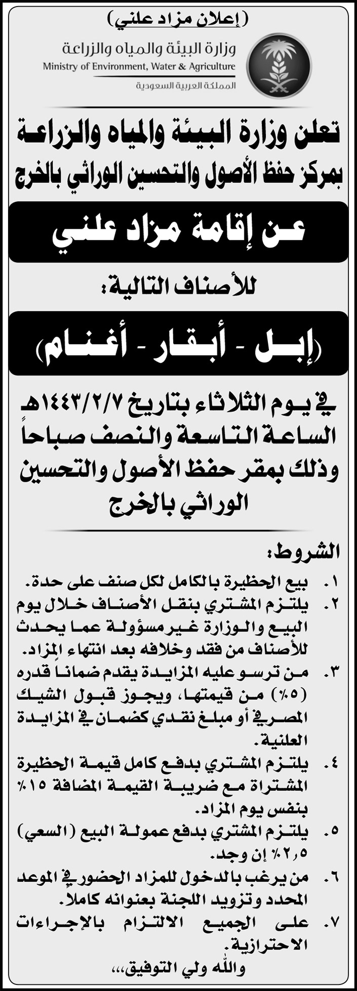 وزارة البيئة والمياه والزراعة بمركز حفظ الأصول والتحسين الوراثي بالخرج تعلن عن إقامة مزاد علني للأصناف التالية: (إبل - أبقار - أغنام) 