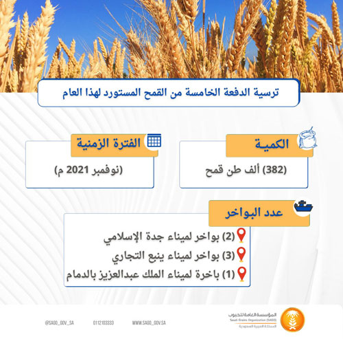 «الحبوب» تنتهي من ترسية الدفعة الخامسة من القمح المستورد هذا العام 