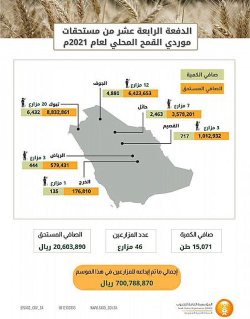 «الحبوب» تصرف مستحقات الدفعة الـ(14) لمزارعي القمح المحلي 