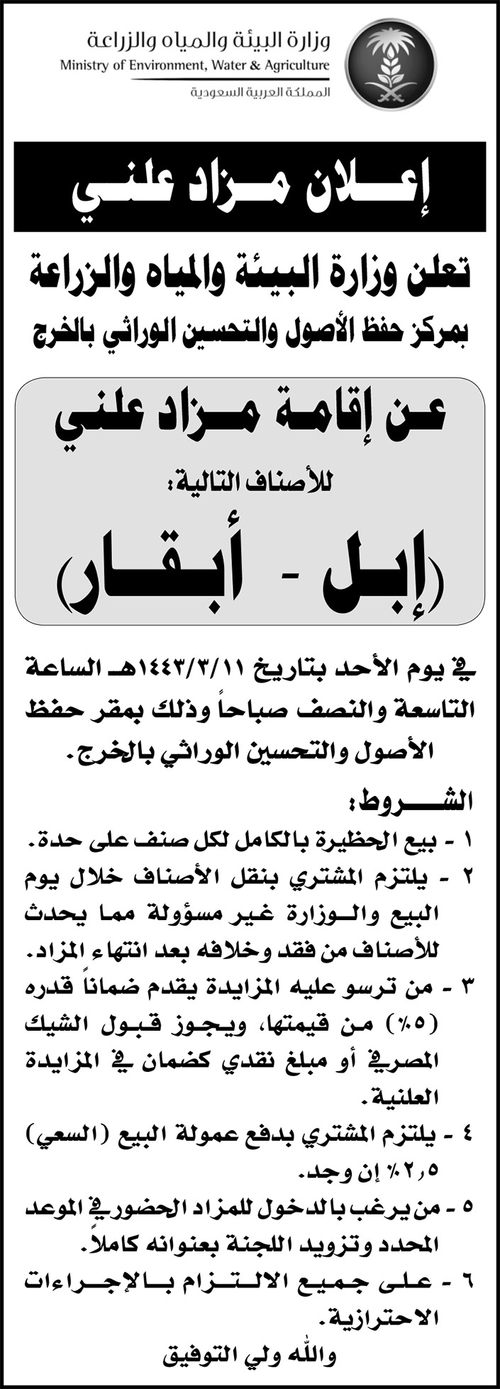 وزارة البيئة والمياه والزراعة تعلن عن إقامة مزاد علني للأصناف التالية: (إبل - أبقار) في الخرج 