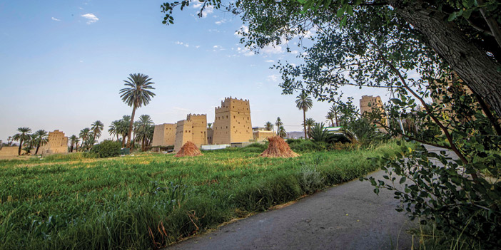  بيوت الطين والفنون المعمارية في منطقة نجران