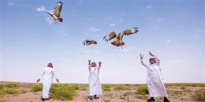 شواطئ وجزر المملكة تستقبل  طلائع الطيور المهاجرة 