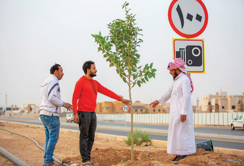  من أعمال التشجير