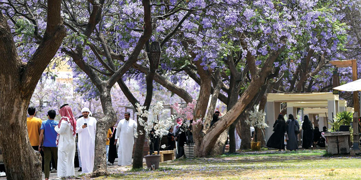 عسير تستقبل زوارها بالغيم والمطر 