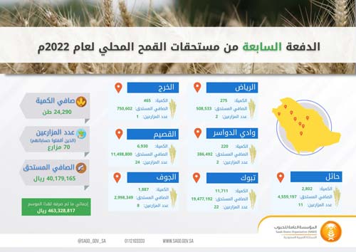 «الحبوب» تصرف مستحقات الدفعة السابعة لمزارعي القمح المحلي 