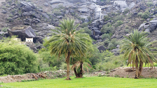  مزارع نجران